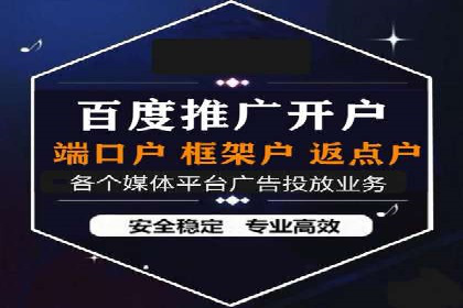 竞价广告投放技巧与案例分析